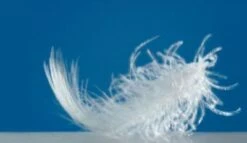 Artländer Baby Bettdecke Baltica, Daunen (90%), 80 X 80 Cm -Baby Lieferungen Geschäft 1213547 02