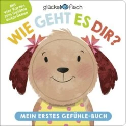 Sauerländer Verlag Glücksfisch: Wie Geht Es Dir? Mein Erstes Gefühle-Buch