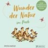 Wunder Der Natur Im Park 2 Wunder Der Natur Im Park -Baby Lieferungen Geschäft 23167583 01