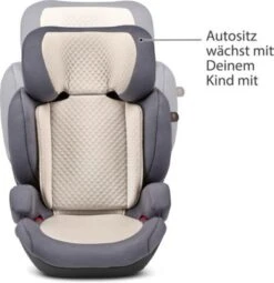 ABC Design Kindersitz Mallow Group 2,3 Stone -Baby Lieferungen Geschäft 23321364 03