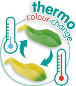 SES Creative Farbwechsel Badewannen-Fische 9 SES Creative Farbwechsel Badewannen-Fische -Baby Lieferungen Geschäft 25916222 04