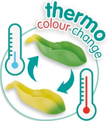 SES Creative Farbwechsel Badewannen-Fische 6 SES Creative Farbwechsel Badewannen-Fische – Bild 4