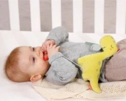 Fehn Mini Spieluhr Dino -Baby Lieferungen Geschäft 25954300 05