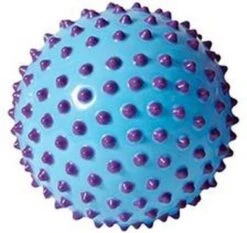 Edushape Senso-Dot Ball