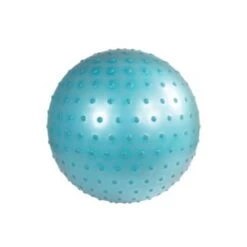B. Toys B.Toys B. Activity Ball