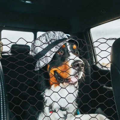 Relaxdays Auto Trennnetz Für Hunde 4 Relaxdays Auto Trennnetz Für Hunde – Bild 2