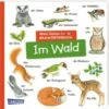 Carlsen Verlag Mein Kleines Buntes Bildwörterbuch: Im Wald -Baby Lieferungen Geschäft 30353219 01