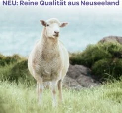 Lansinoh Brustwarzensalbe Lanolin, 40 Ml 12 Lansinoh Brustwarzensalbe Lanolin, 40 Ml -Baby Lieferungen Geschäft 3784194 05